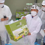 강원도 홍천 바회마을 고랭지 절임배추 20kg