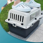 레드퍼피 꾸안쿠켄넬 3호