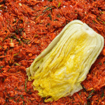 마미레 김치포기양념 8kg