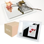 kimspp 깔끔한 국산 크리스탈 거울액자 3R 3x5 240x185mm 1박스 36개 인테리어 액자거울 사진액자