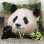 대왕판다 푸바오 인형 쿠션 베개 귀여운 안고 자는 베개 A18 1개 35 35