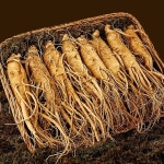 자연맛남 농협선별 금산 인삼 삼계 150g