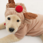 쪼꼬마미 뽀송곰 강아지 곰돌이 후드 털조끼 수면조끼 1개 05-루돌프