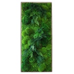 모스월아트 와이드 천연 이끼액자 프리저브드 DIY 벽면녹화 수직정원 실내공기정화식물 S 30 x 70 1개 MO-30