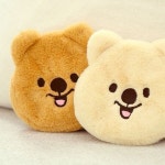 귀여운 쿼카 인형 미니 파우치 1P 소품 수납 동전지갑 WFKITF6