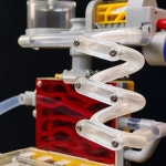 애완 개미 사육장 케 릴 투명 키우기 3D A 개미집 B1