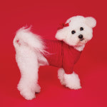 BYC BYC-S 업그레이드 출시 2025 BYC 개리야스 빨간내복 R5 ODA0003