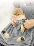 고품질 제이제이펫 고양이 캥거루 앞치마 발톱 위생 담요 쿠션 단