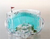 LED 개미집 여왕 개미 키우기 사육장 하우스 만들기