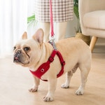 고양이 강아지겸용 야광 조끼형 앞섬방지 하네스 소형 대형 G9035 G9043