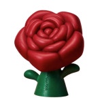 동구밭 퍼퓸바 장미 장미향