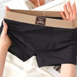 Bloom the Love 남성 박스형 세트 솔리드 3개 사이즈 핫 속옷 H8071