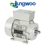 정우모터 단상 3마력 2 2KW 2극 B34 축24mm 90L 220V FT115