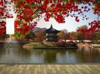 포토 벽지- 향정원 경복궁 고궁 3폭 제작도 실크 3120x2400mm 158400원 21PH012