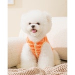 반려동물 113번 펫의류 그린 1개