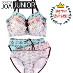 소고시조아 주니어 학생 브라팬티세트 3단계 80B J2004