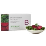 오투바이오 덴마크 케일 비트 2g x 28포