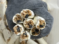 57년 전통 견과류로 속이꽉찬 수제 순대엿 손이가엿 검은콩 땅콩 참깨