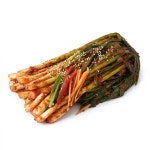 순천농협남도김치광양 | 한국농협김치 전라도 순천 남도 파김치 1kg