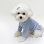 스타일독 강아지옷 따뜻한 뽀송 기모 라운드 1개