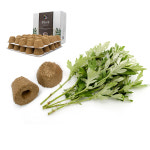 왕뜸 뜸 쑥 뜸쑥 기 1개