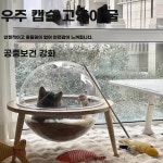 마이스토어 우주캡슐 고양이 투명 둥지 원목 아크릴 하우스 우주 대형