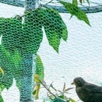 새보호망 새 그물 망 방조망 농작물 보호 참새 비둘기4x5M 새그물4X5m 위탁1 새그물4X5m YP24P01