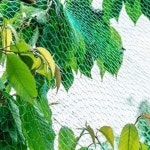 새 그물 망 방조망 농작물 보호 참새 비둘기4x5M 새그물4X5m