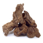 프리미엄 세틀 오푸와 유목 이하 아프리카 유목 1개 10cm이하