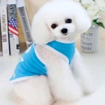 강아지 여름 티셔츠 개옷 강아지패션 펫패션 WFKYR4Y