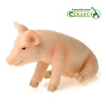 컬렉타 앉아있는 아기 돼지 88345