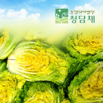 그린농장 원해원 괴산절임배추 천일염절임 준고랭지배추 20kg
