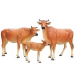 소 조형물 장 조각상 모형 정원꾸미기 한우 축제 공원 B 소형 산책소길이