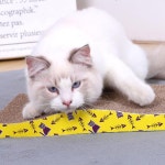 캣 발톱갈이 장난감 발톱 관리부터 놀이 휴식까지 한 번에 해결되는 고양이 스크래처 고양이 L 1개 BM-261-265 BM-261-265 BM-264