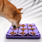 강아지 슬로우 피드 노즈워크 장난감 네잎클로버 1P