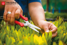 화신 다목적 가위 P-300