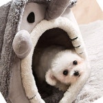 캣 강아지 애견겨울집 견집 하우스 보온강아지집 애견 강아지하우스 뽀글이집