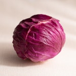 데코봉봉 교보문고 데코봉봉 양배추 모형 적색