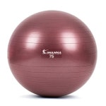 아이워너 아이워너 안티버스트 짐볼 75cm