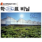 농업용비닐 하우스 온실용 비가림막 농막 범용 장수 농자재 두께 0 1 학표 100M 1 8M 0