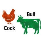 대문닷컴 스텐실도안 수닭과 황소 ST-3639 ST-5089