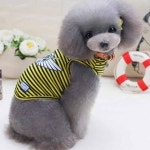 반려동물패션 강아지 실내복 티셔츠 애견옷 강아지패션 펫의류