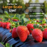 PRIMAX 6밀리 플라스틱 시트 10 x25 - 방수 자외선 저항 고강도 두꺼운 롤 잡초 습기 증기 건설 필름 목재 방수포 10 x 25 - 6 Mil