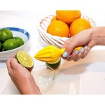 레몬 라임 오렌지를 위한 주스 매뉴얼 핸드 시트러스 리머 준비하기