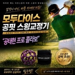 공태현프로 골프스윙연습기