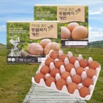 한스팜 한스팜 자연을 품은 동물복지란 무항생제 날계란 40구