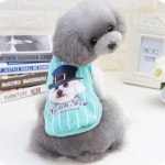 반려동물패션 강아지 티셔츠 강아지의류 강아지이쁜옷 펫의류