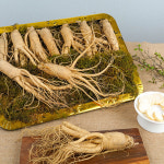 이푸른 풍기인삼 6년근 수삼 5호 800g 15-20뿌리 1개 800g