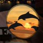 꾸밈 nr 액자25R 노을과돌고래 580-LED