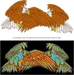 맥앤PC용 브릴리언스 밀도 키트 프로 자수 소프트웨어